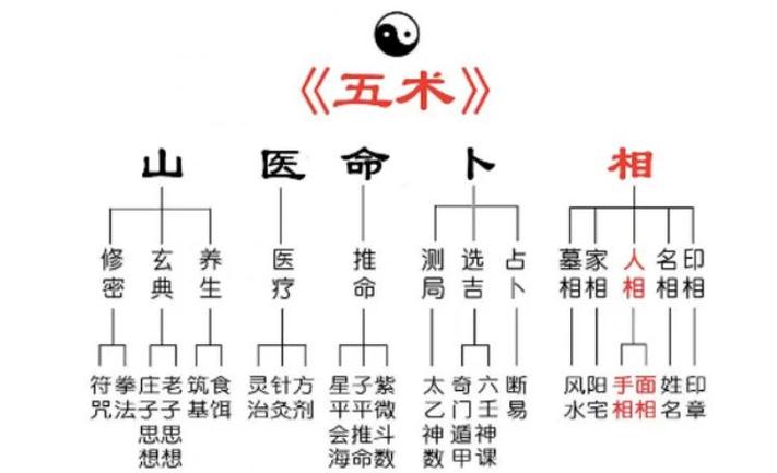 命宫紫微天府女人