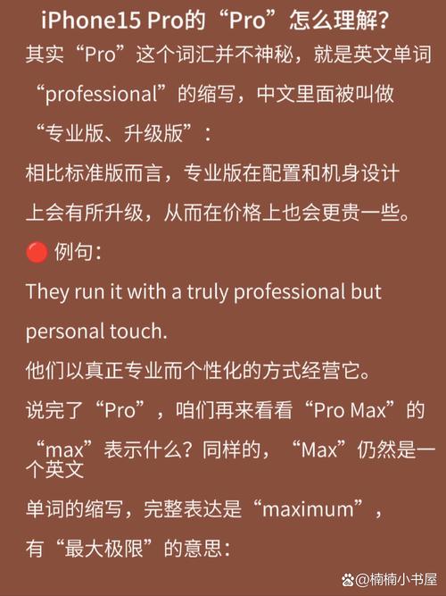 pro谐音念啥