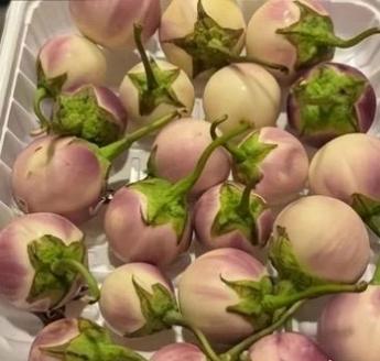 茄子和桃子图标什么意思