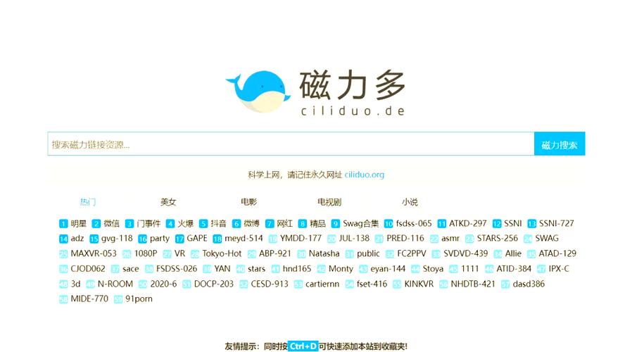 2021可用,好用,值得推荐的搜索引擎