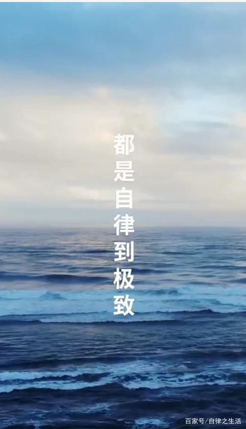 自律部个人简历