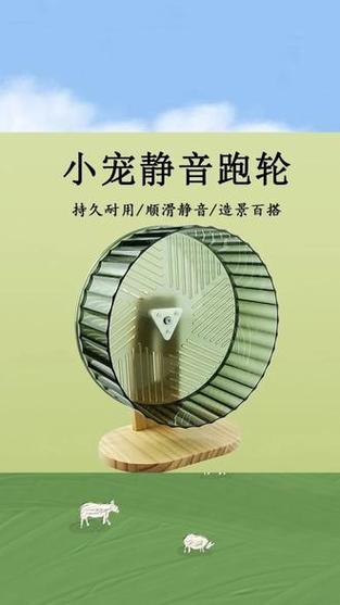 金丝熊18cm跑轮小了么