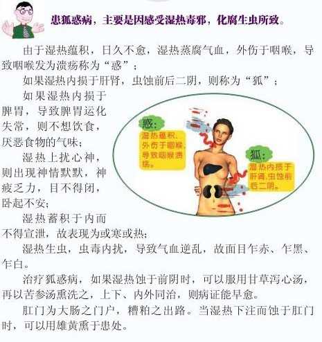 甘草泻心汤狐惑病原文缩略图
