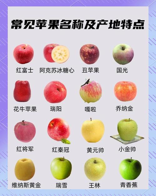 苹果充电响两声什么意思