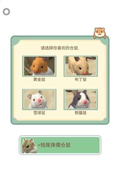 仓鼠模拟器中文版下载图标