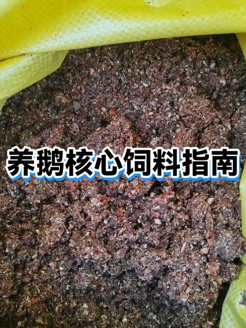 养大鹅的成本和利润