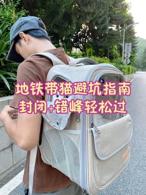 地铁带猫最简单三个步骤