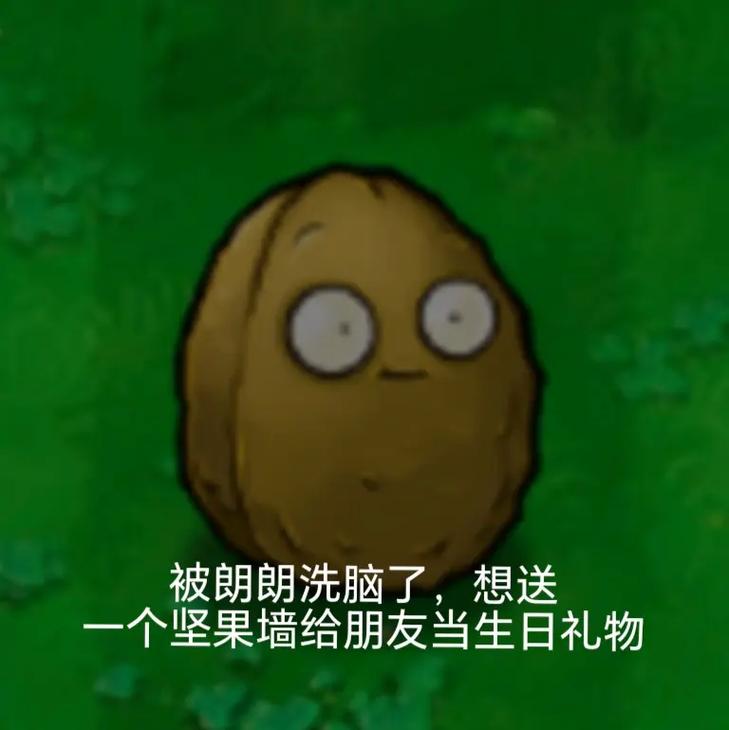 胖成坚果墙是什么意思