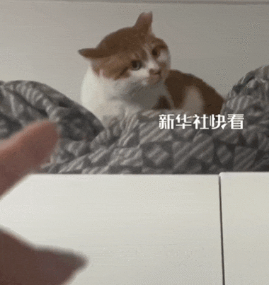 哟和呦用哪个好