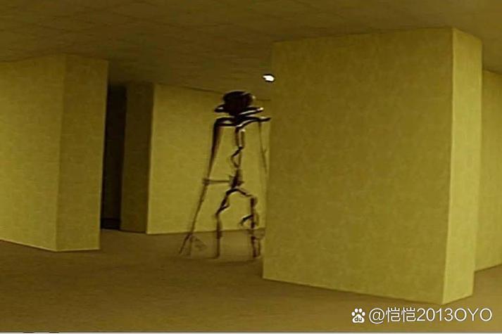 后室实体大全