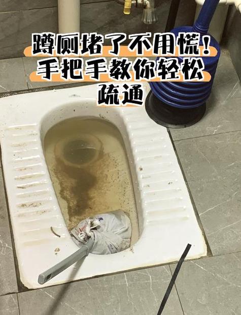 疏通蹲厕堵塞最有效的方法图标