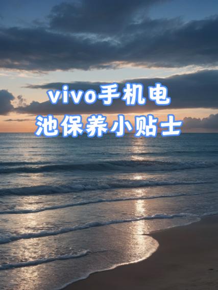 vivo手机电池保养正确方法