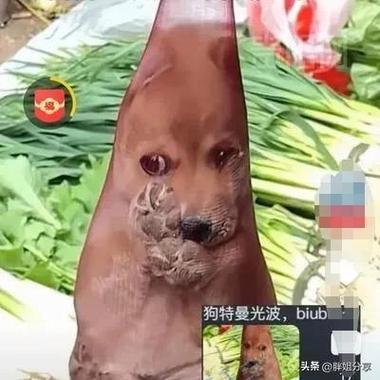 装兜里表情包