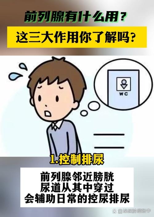 排不出尿最有效的方法图标