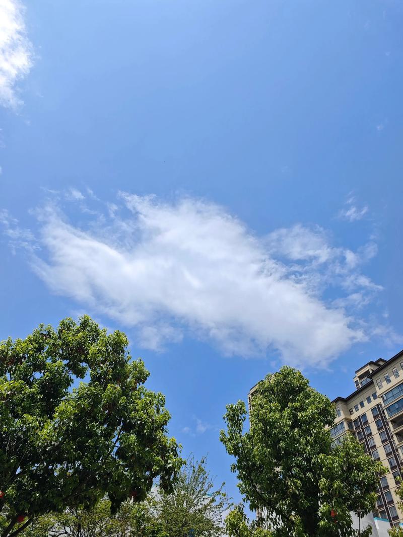 滚动的天空左手