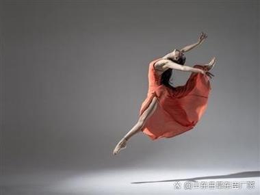中国舞的三大分类