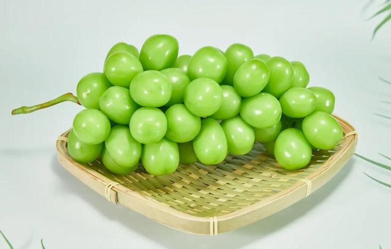 阳光玫瑰蔬果视频素材