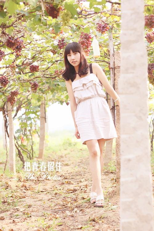 我的校花未婚妻何晓叶截图