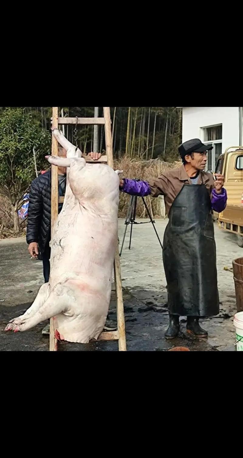 屠夫的疯狂无敌版下载安装