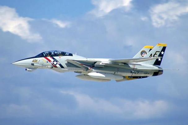 F-14D“超级雄猫”截图