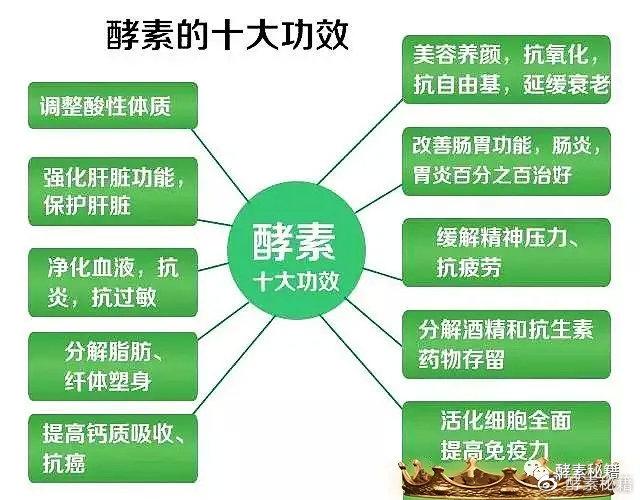 喝酵素的好处与坏处