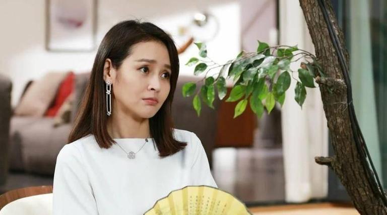 小丽是什么电视剧人物