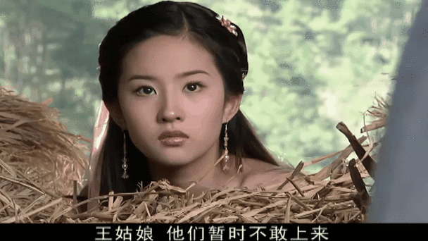 天龙八部王语嫣任务图标
