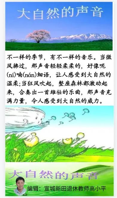 风声是什么什么的声音是什么