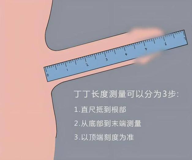 长度