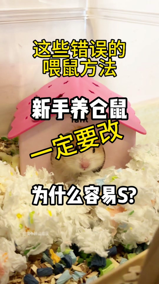 经常玩仓鼠会不会玩死