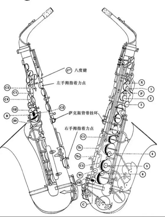 萨克斯在哪