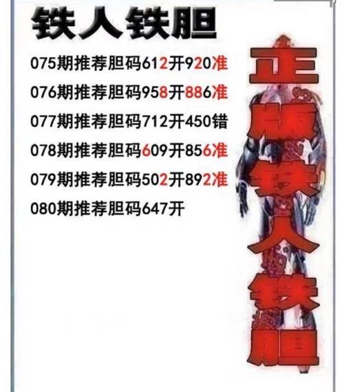 铁人铁胆双胆下一截图