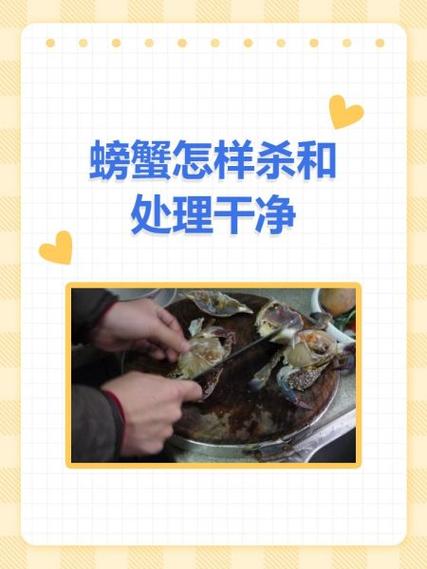 活螃蟹怎样杀和处理干净