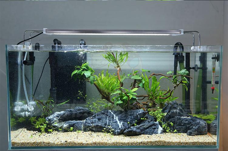 森森鱼缸过滤器安装视频截图