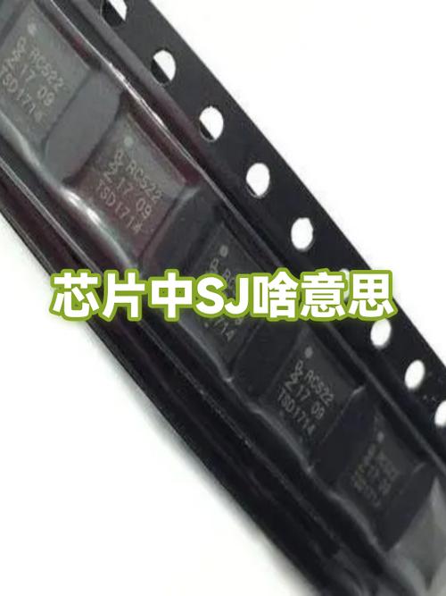 sj是什么意思