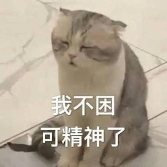 天又亮了完全不顾我困不困图片截图