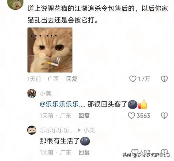猫咪段子游戏截图