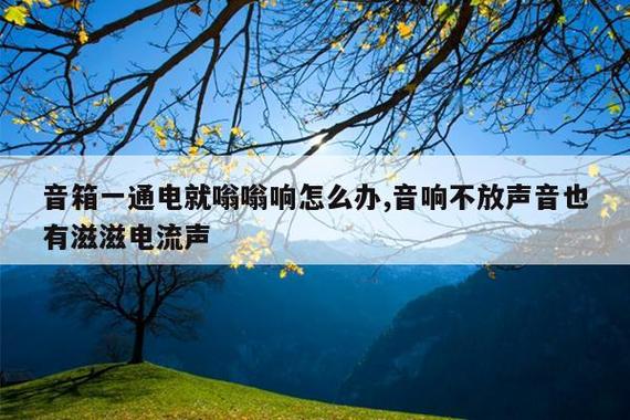音响插上电源就嗡嗡响缩略图