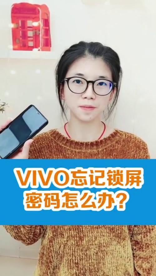 vivo手机清楚所有数据还是需要密码截图