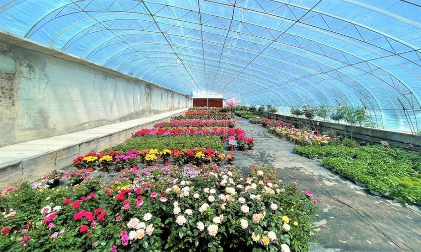 鲜花小镇研究种植功能是什么
