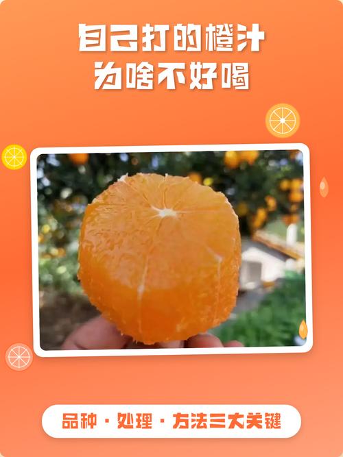 自己打的橙汁为啥不好喝