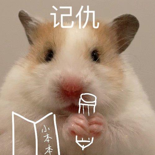 小鼠表情包缩略图