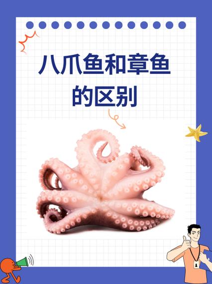 八爪鱼最新版本