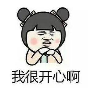 我很开心表情包