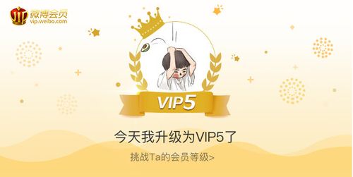 turbo会员能干什么