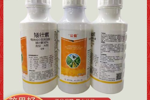植物矮壮素的使用方法图标