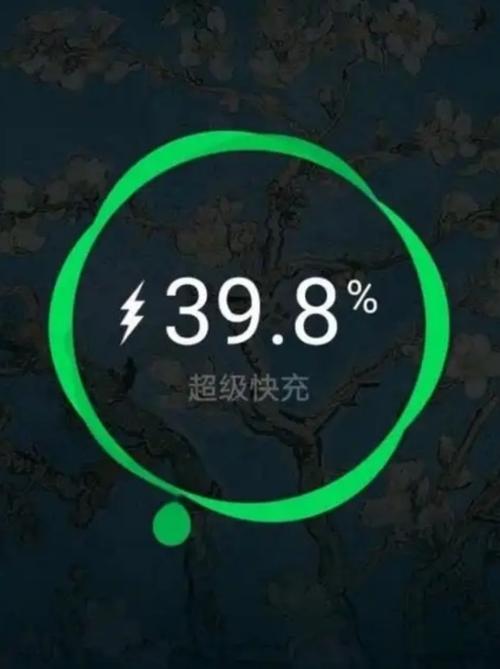 没有快充了什么原因