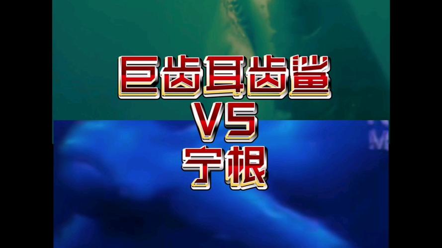 宁根vs单手怪