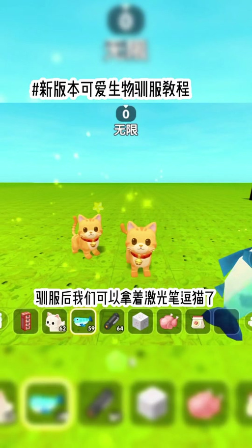 迷你世界小猫怎么驯服图标