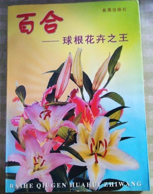 有什么好看的百合书